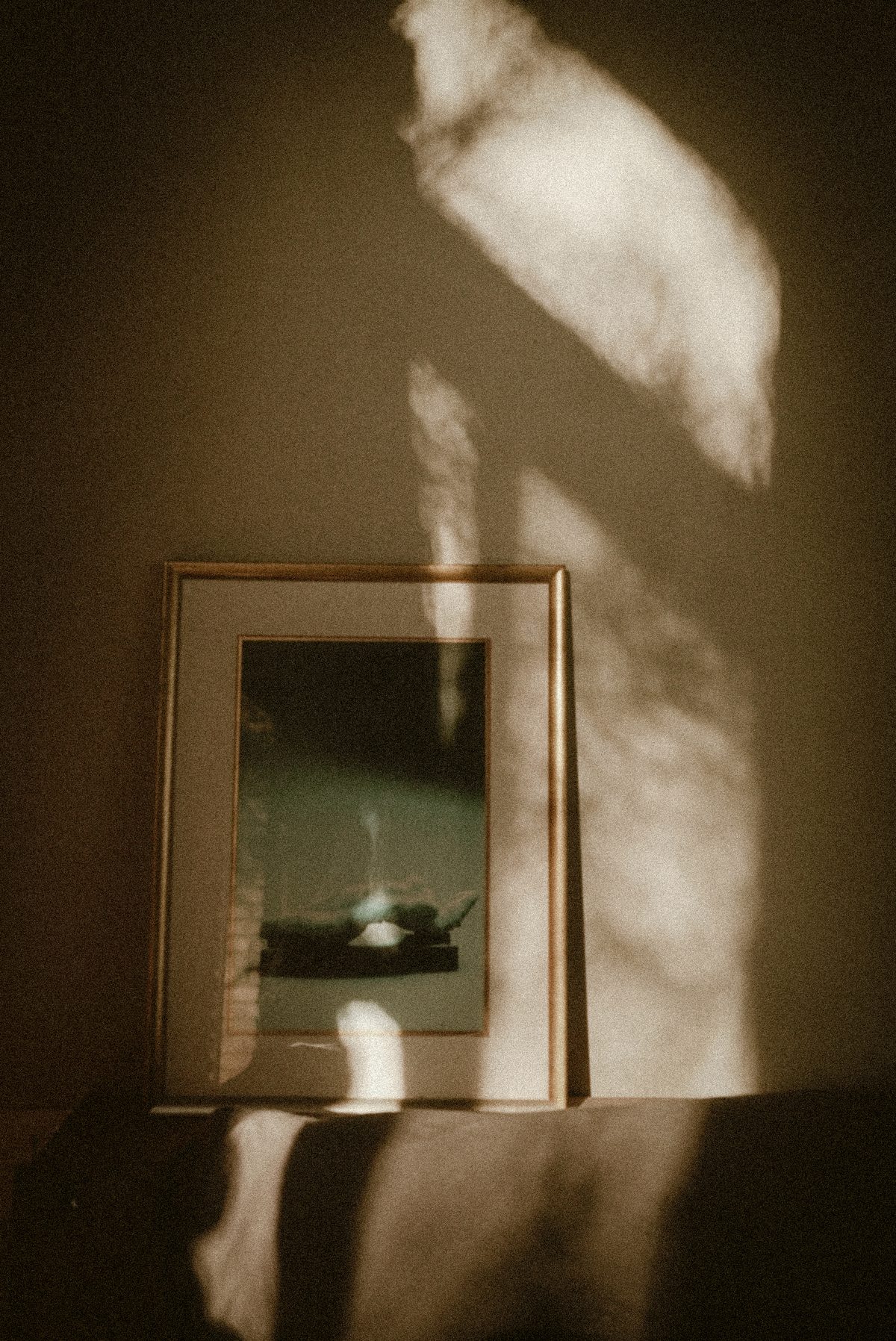 A framed print on a wall, lit by late afternoon light through a window